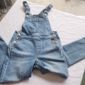 J. Crew Light Blue Women's Jeans Overalls